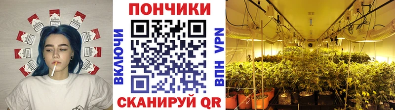 Бошки Шишки конопля  купить   Алапаевск 